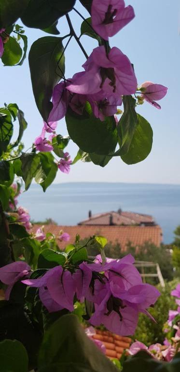 Summer Lounge Apartment Trogir Bagian luar foto